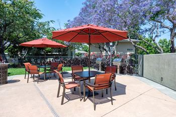 Bbq/picnic area